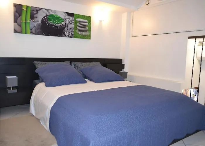 Magnifique Appartement 2 Pieces - Port De Nice